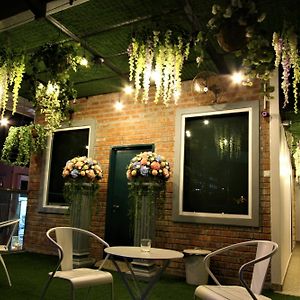 Shamrock Garden